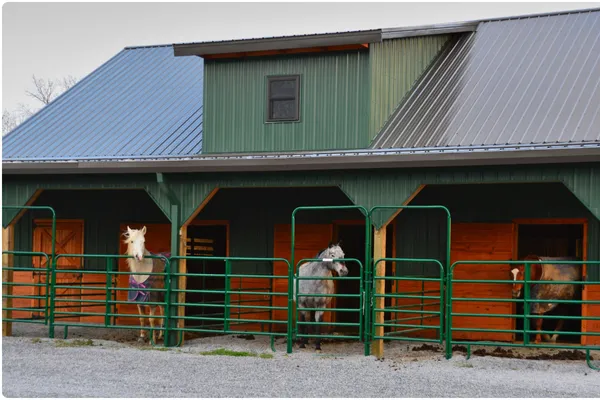 Horse Barns by Titan Buildings, serving Delaware and Maryland's Eastern Shore
